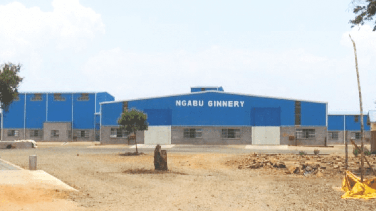 Exports – Cotton Ginning Shed – EPC